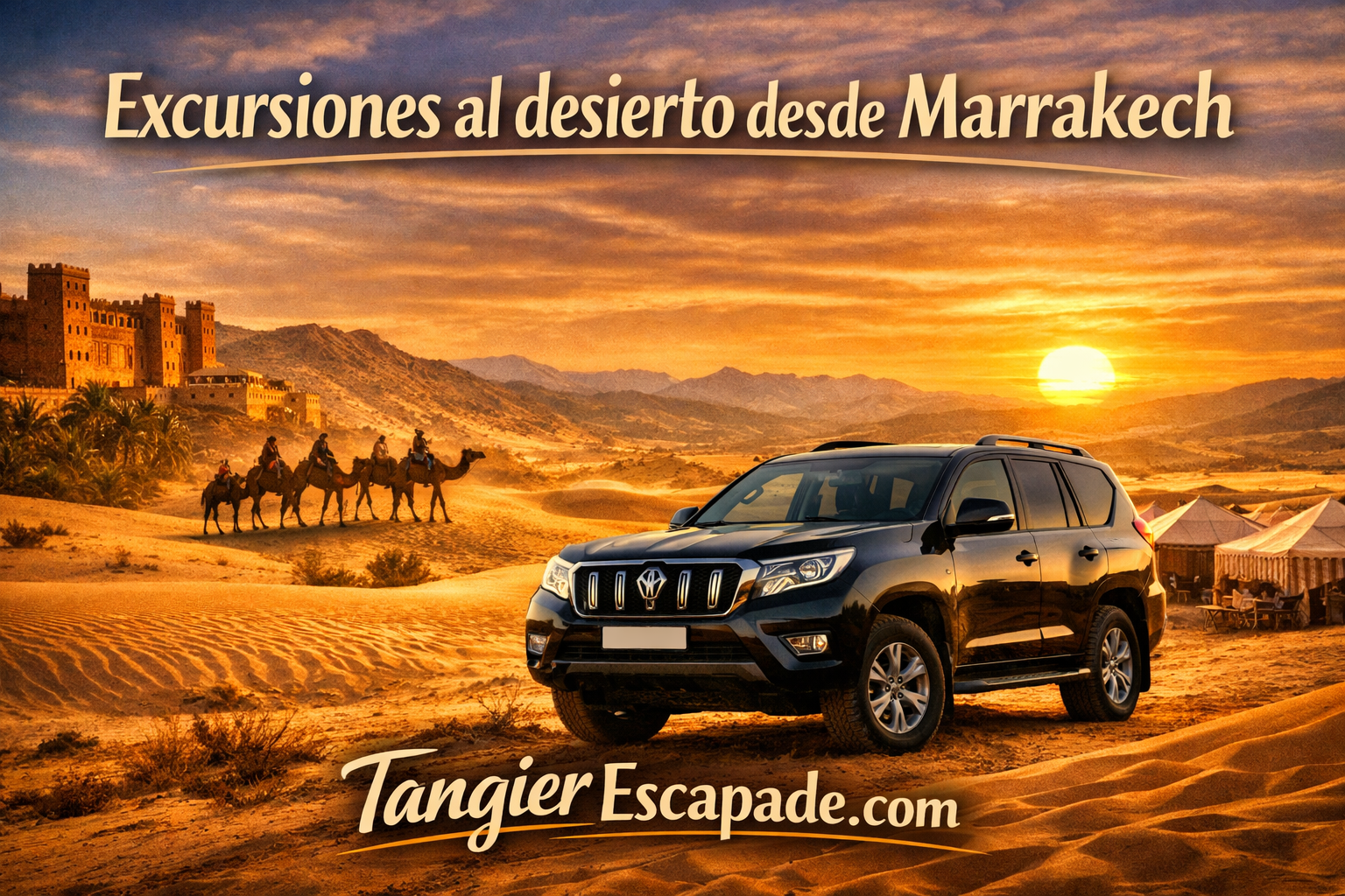 Excursiones al desierto desde Marrakech - dromedarios al atardecer